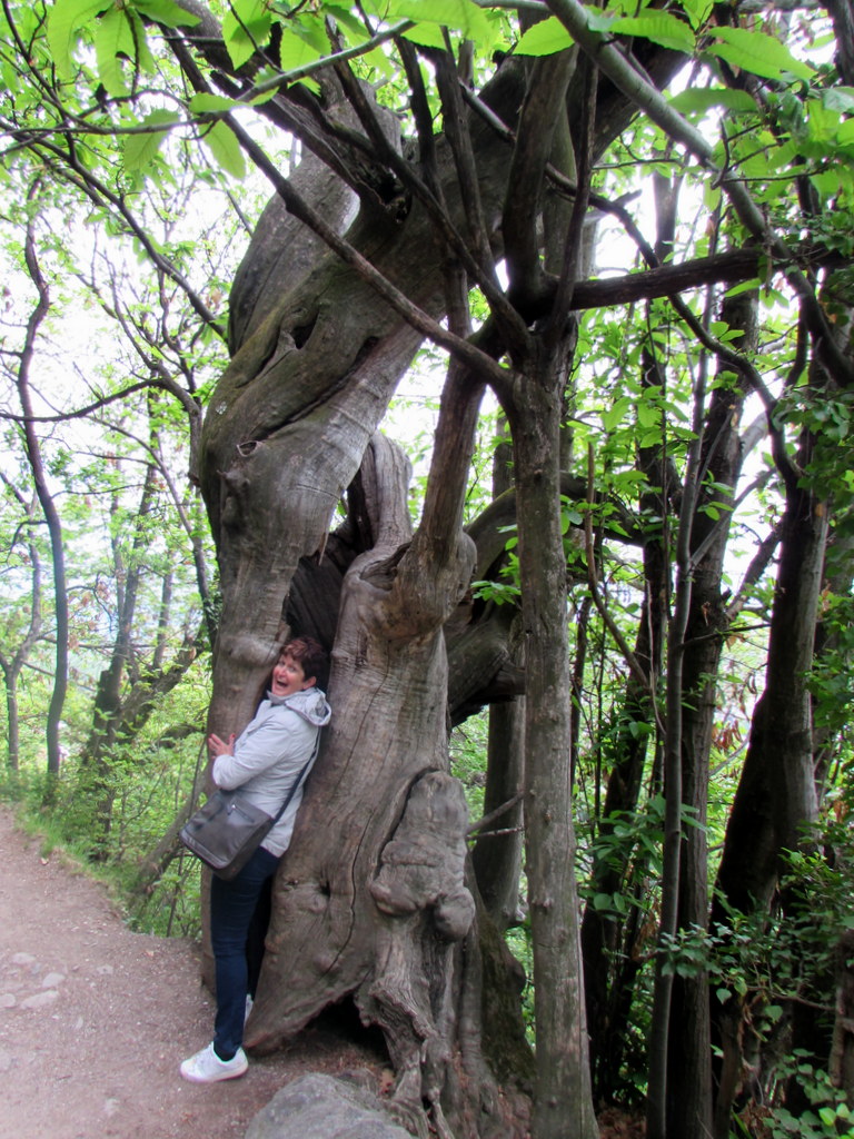 Frühlingsfahrt 2016