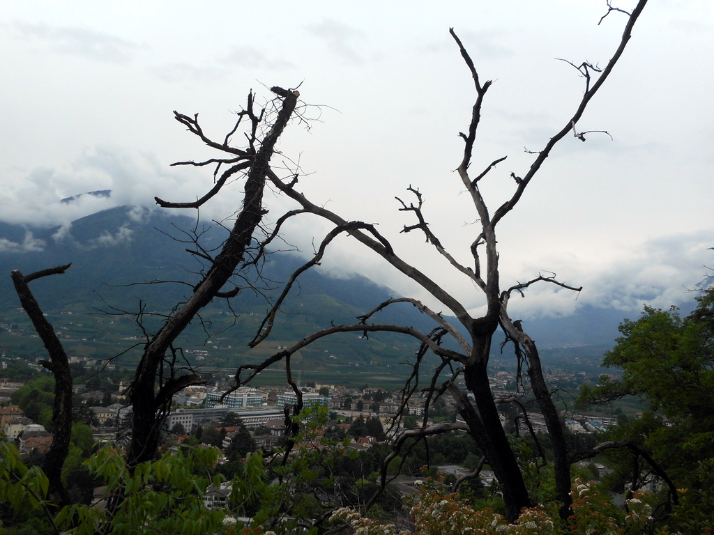 Frühlingsfahrt 2016