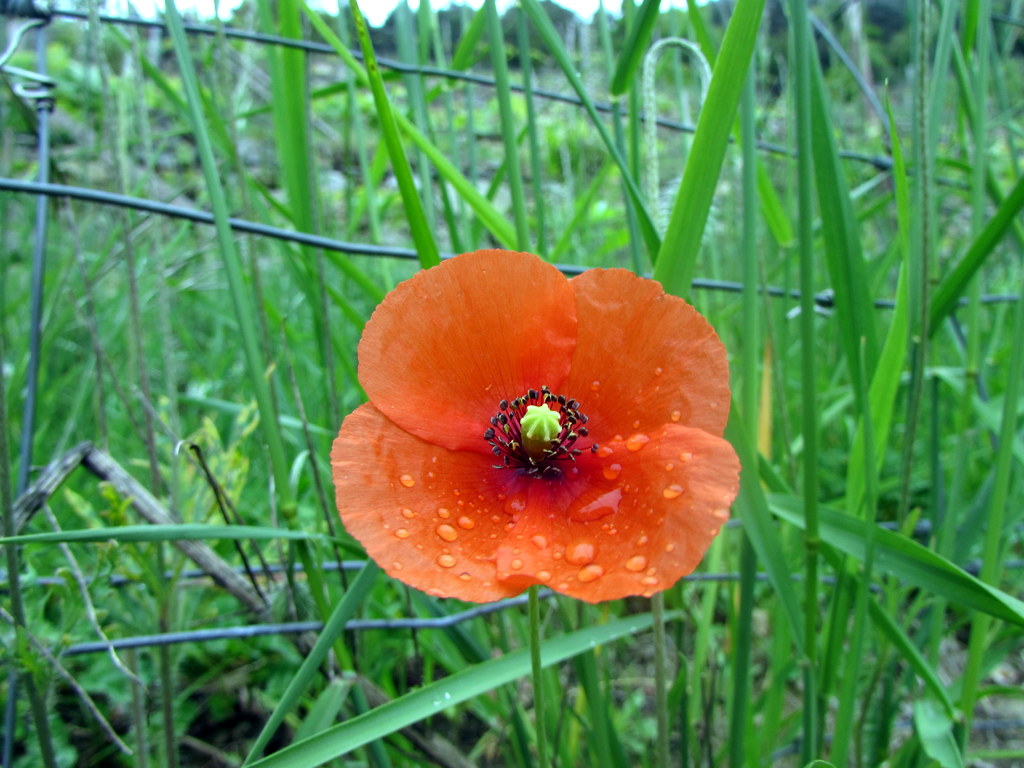 Frühlingsfahrt 2016