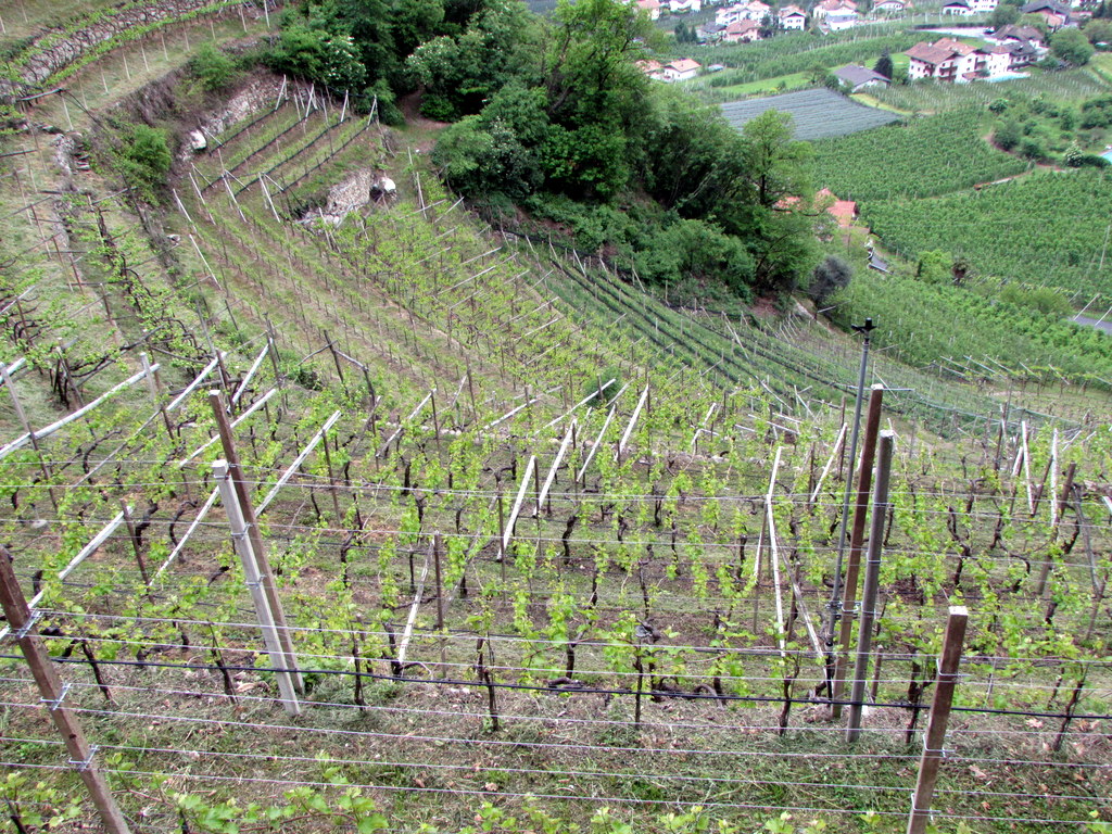 Frühlingsfahrt 2016